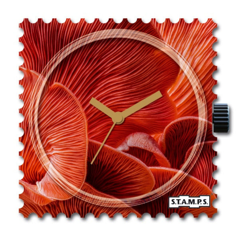STAMPS Zfferblatt Pilze