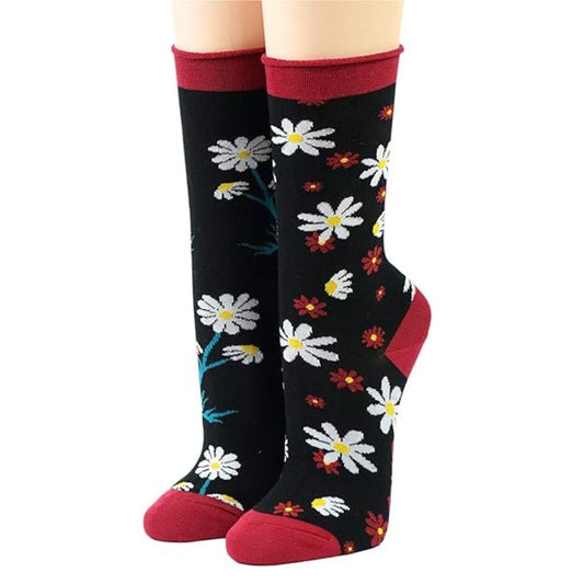 ca286040f9f1dcccbb584f11217578ac