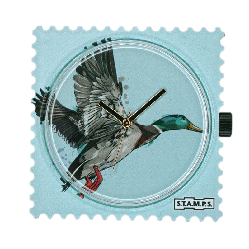 Stamps Uhr Zifferblatt Wildente