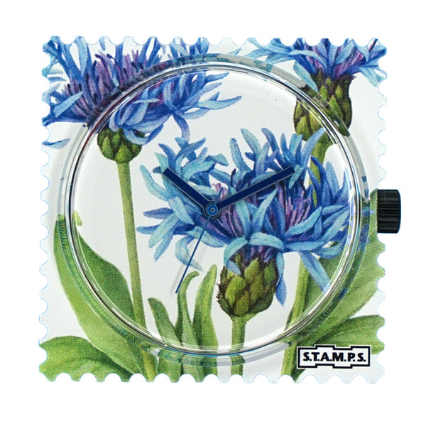 Stamps Zifferblatt 3 Kornblumen auf weiß