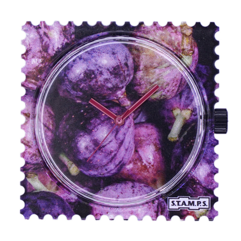 Stamps Uhr Zifferblatt Feigen violett